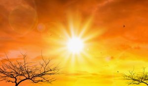 the 2025 season is sizzling hot!